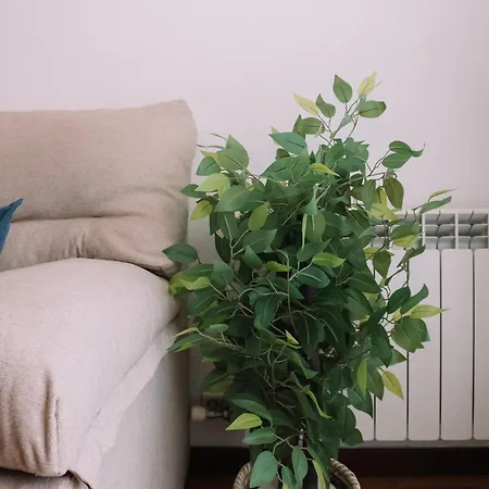 Luminoso Con Vistas En By *